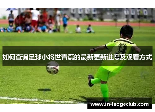 如何查询足球小将世青篇的最新更新进度及观看方式