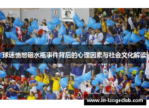 球迷愤怒砸水瓶事件背后的心理因素与社会文化解读