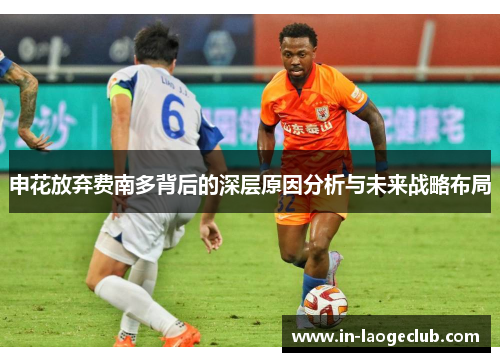 申花放弃费南多背后的深层原因分析与未来战略布局