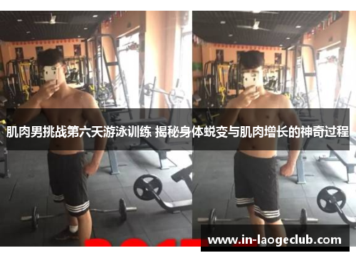 肌肉男挑战第六天游泳训练 揭秘身体蜕变与肌肉增长的神奇过程