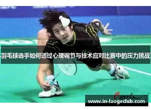 羽毛球选手如何通过心理调节与技术应对比赛中的压力挑战