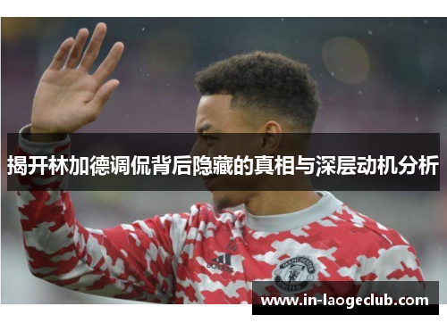 揭开林加德调侃背后隐藏的真相与深层动机分析