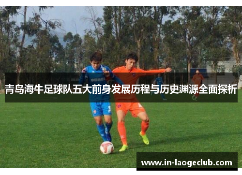 青岛海牛足球队五大前身发展历程与历史渊源全面探析