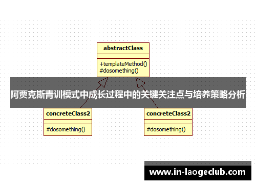 阿贾克斯青训模式中成长过程中的关键关注点与培养策略分析 阿贾克斯青训模式中成长过程中的关键关注点与培养策略分析